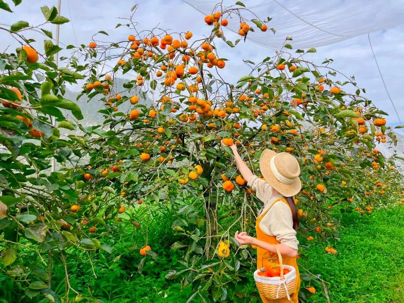 Chèo thuyền khám phá cảnh quan thiên nhiên Hữu Lũng