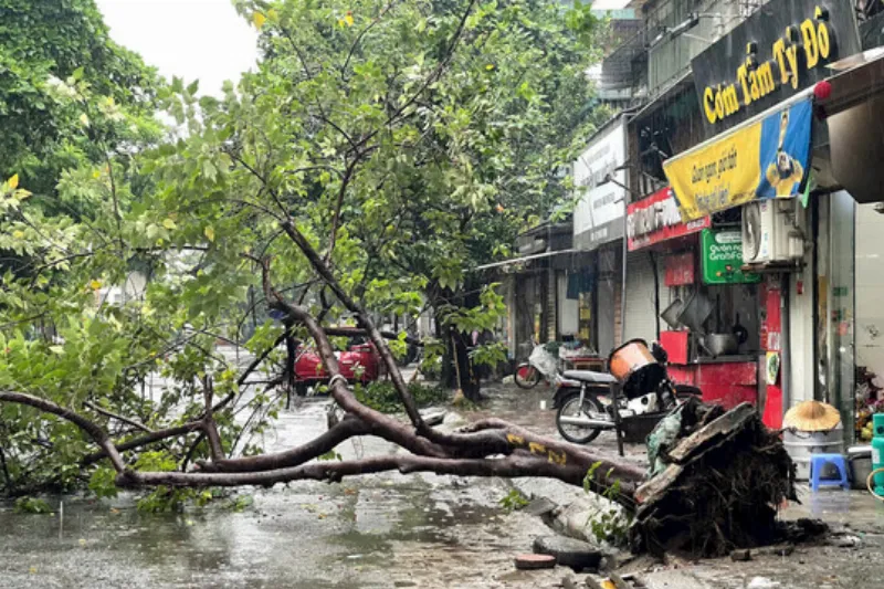 Hà Nội triển khai ứng phó với bão số 3