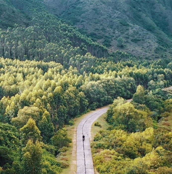 khoang cach tu phu yen den nha trang la bao nhieu 7