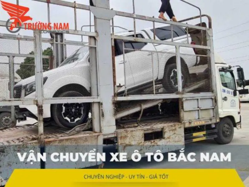 Lựa chọn phương tiện vận chuyển ô tô từ nhà máy sản xuất