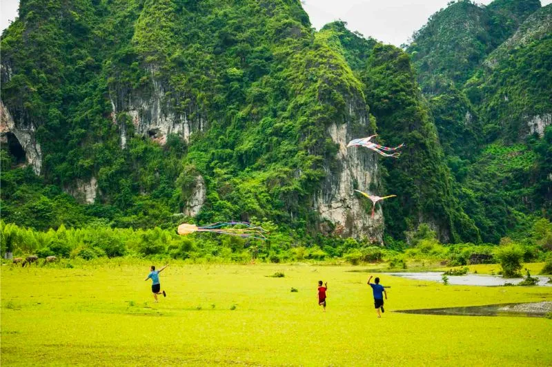 Thu hoạch hồng sai trái trĩu cành và thưởng thức ngay tại vườn địa phương