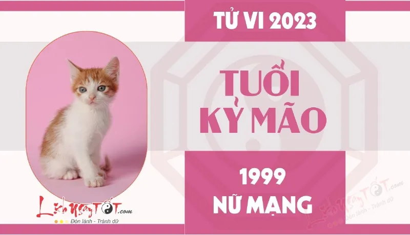 Tử vi 2023 tuổi Kỷ Mão nữ mạng