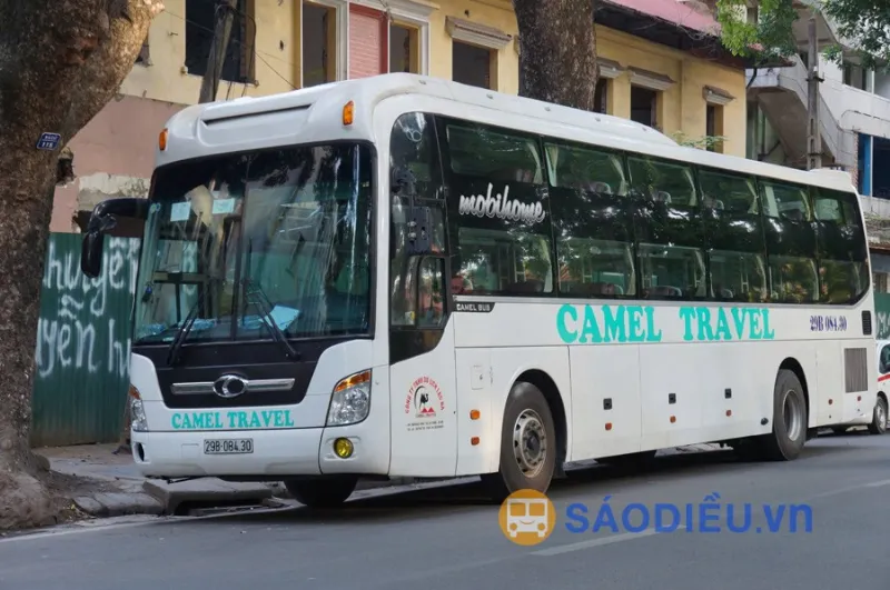 Xe giường nằm Camel Travel