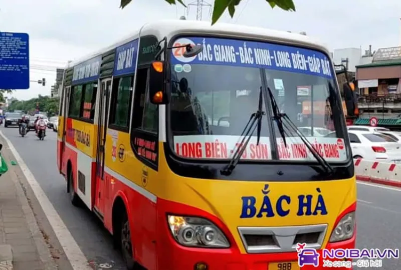 Hình ảnh xe bus số 203