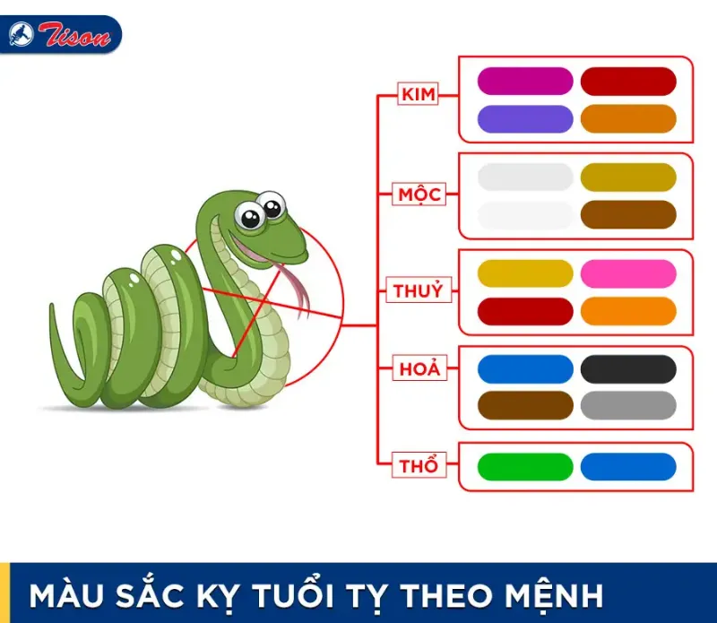 Màu kỵ tuổi Tỵ theo mệnh năm 2023