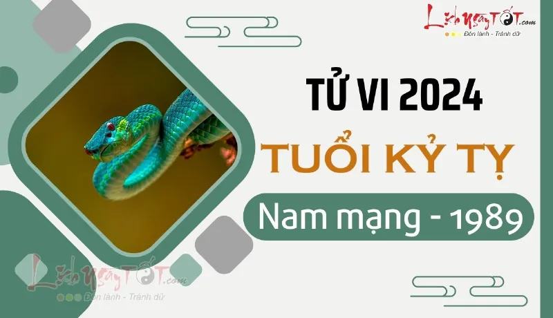 Tử vi 2024 tuổi Kỷ Tỵ nam mạng