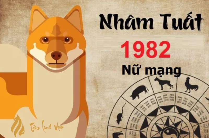 Vận niên nữ nhâm tuất trong năm 2024