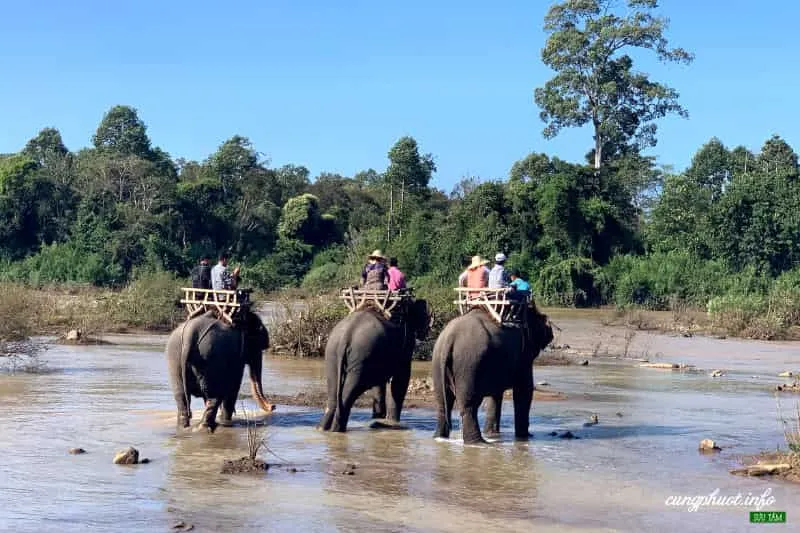 Khu du lịch Buôn Đôn